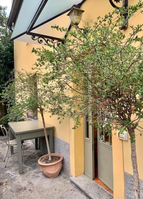 צ'רנוביו Il Riccio Appartamento מראה חיצוני תמונה